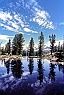 Wind River Reflection